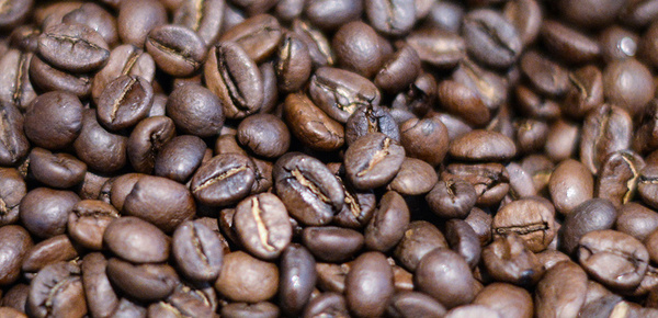 Kaffee­maschinen bei Elektro Kempa in Michendorf